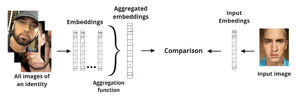 Graphical abstract